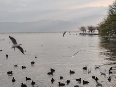 -西昌邛海湾柏樾酒店(原邛海湾柏栎度假酒店)