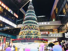 -浦江城市生活广场(江月路店)