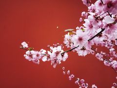 -国家植物园