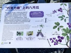 -上海植物园-4号门售票处