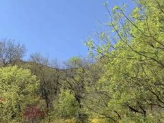 -鹫峰国家森林公园