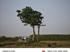 -嘉北郊野公园