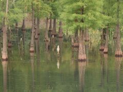 -白鹭湾湿地公园