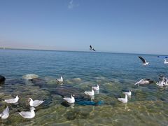 -青海湖国家重点风景名胜区