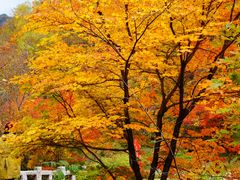 -丹东天桥沟景区