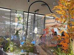 -绿茶餐厅(青岛城阳万象汇店)