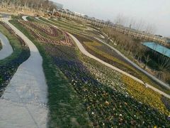 -南通洲际绿博园