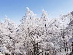 -崂山巨峰游览区
