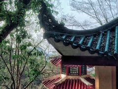 -叠彩山景区
