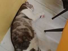 -谜盒子奇幻密室(南屏店)