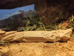 -柳州博物馆