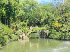 -上海醉白池公园
