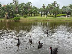 -厦门国家会计学院
