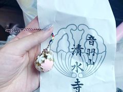 -有栖山 清光院 清水寺