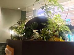 -芸山季·云南山珍菌火锅(南翔印象城MEGA店)