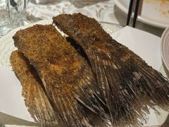 -阿里家·新疆烤肉酒場