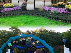 -上海共青森林公园