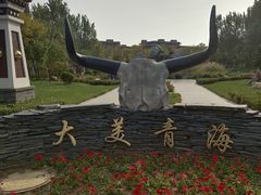 -武清南湖绿博园