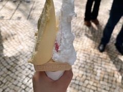 -柠檬车露(卖草地店)