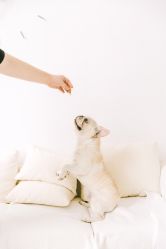 -ZOO KIDS象集摄影工作室(西城公馆店)