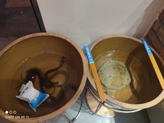 -湘语·湖南家常菜(新洲店)