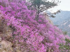 -青岛大珠山景区