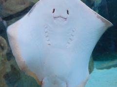 -珠海长隆海洋王国