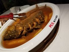 -阿五黄河大鲤鱼(纬三路店)
