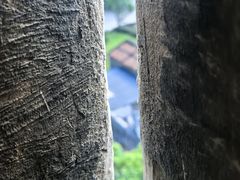 -均和墟历史街区-平和大押