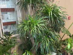-隅乐胡椒虾·台湾菜·团建(皇岗店)