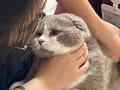 -瑞派康怡24h宠物医院·犬猫医疗中心·微创绝育(瑞景分院)