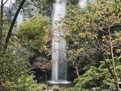 -九龙公园