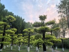 -大鹅岛绿色生态美食园