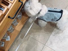 -ZARA HOME(蓝色港湾店)