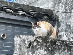 -苏州文庙(姑苏区)