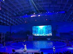 -海合安武汉极地海洋公园