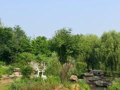 -东湖落雁景区