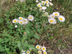 -上海滴水湖皇冠假日酒店