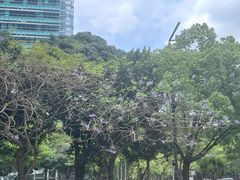 -好日子皇冠假日酒店·君怡咖啡厅(特美思大厦店)