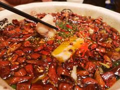 -陈麻婆豆腐总店