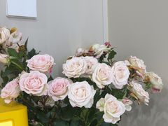 -素禅棋牌会所(海阳路店)