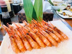 甜虾刺身-大渔·观筵(三里屯太古里店)