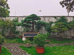 -大可堂普洱茶馆(襄阳南路馆)