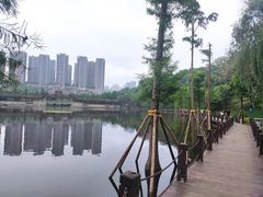 -重庆彩云湖湿地公园