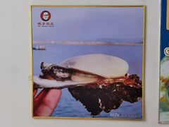 -蚝乡农庄(铁涌赤岸店)