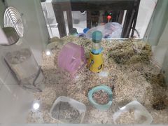 -欧亚汇集(飞跃路店)
