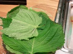 -新石器烤肉(之心城店)