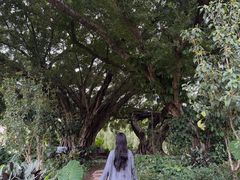 -人民公园(罗湖区)