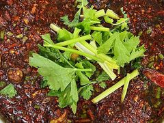 -温江公平红烧兔(总店)