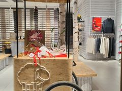 -allbirds(三里屯太古里南区店)